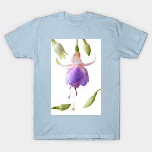 Fuchsia  &#39;Prince George&#39; T-Shirt